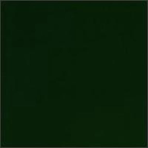 Pre-Owned Green Album (CD 0757181004227) by Skankin' Pickle