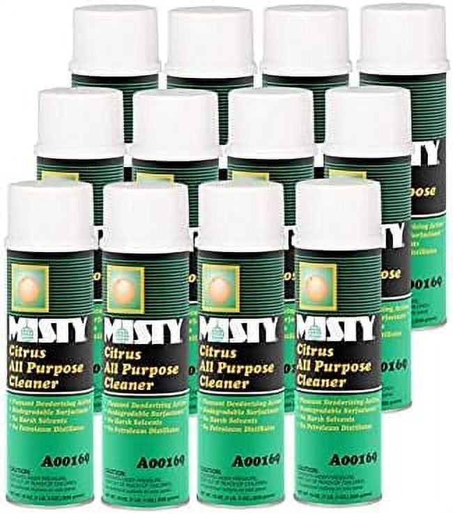 Green AllPurpose Cleaner Aerosol 19 Ounce (Case Of 12) 1001583 All