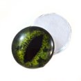 thumbnail image 1 of Green Alligator Glass Eyes, 1 of 7