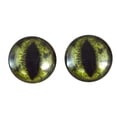 thumbnail image 1 of Green Alligator Glass Eyes, 1 of 8