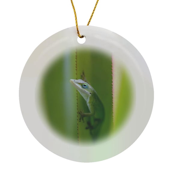 3drose, Green Anole, Arboreal Lizard, Kauai, Hawaii, Usa - Us12 Dfr0147 - David R. Frazier, Circle Porcelain Ornament
