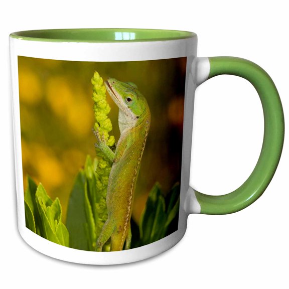 3drose, Green Anole Lizard, Texas Coastlands - Us44 Mpr0054 - Maresa Pryor, 11oz Two-tone Green Mug