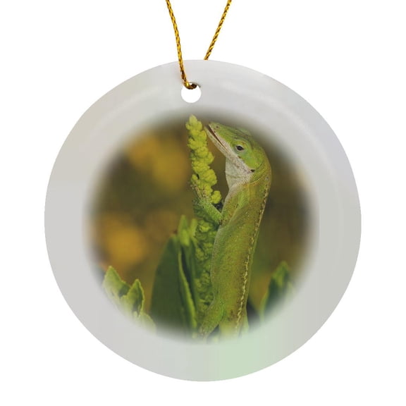 3drose, Green Anole Lizard, Texas Coastlands - Us44 Mpr0054 - Maresa Pryor, Circle Porcelain Ornament