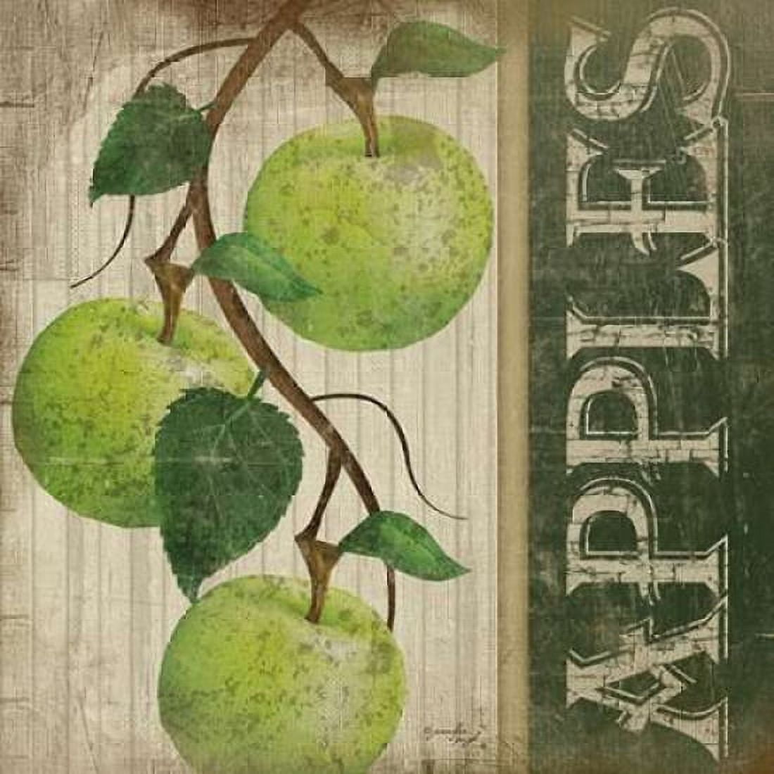 Green Apples Canvas Art - Jennifer Pugh (24 x 24)