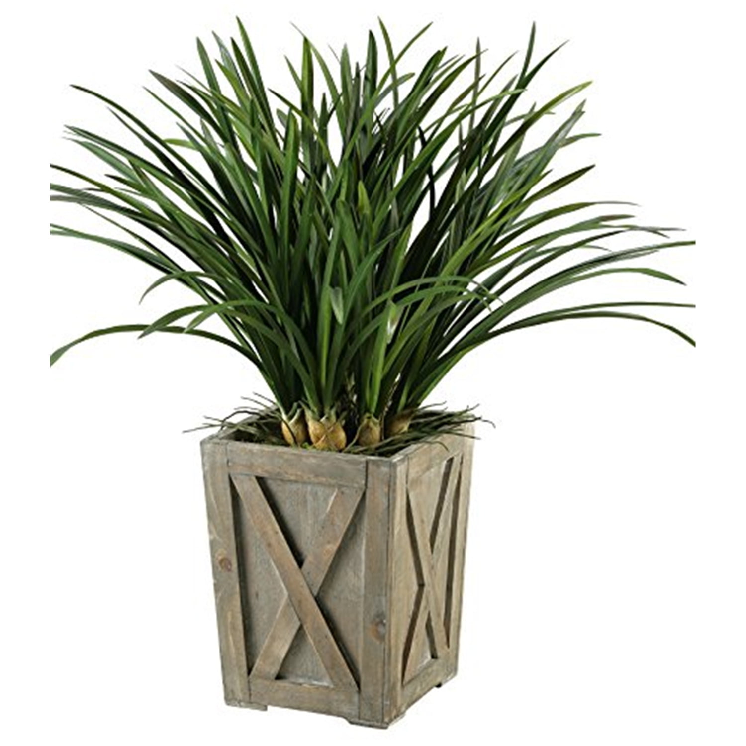 Winter Areca Grass 36" Potted Arrangement in Weathered Grey Planter