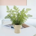 thumbnail image 1 of Green Artificial Mimosa Potted, Small Faux Bonsai for Home Indoor Decor, 1 of 6