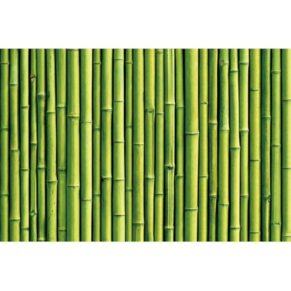 Green Bamboo Backdrop Bamboo Forest Nature Scenery Photography Background Birthday Wedding Party Banner Living Room Sofa Wall Decorations Photo Booth Props