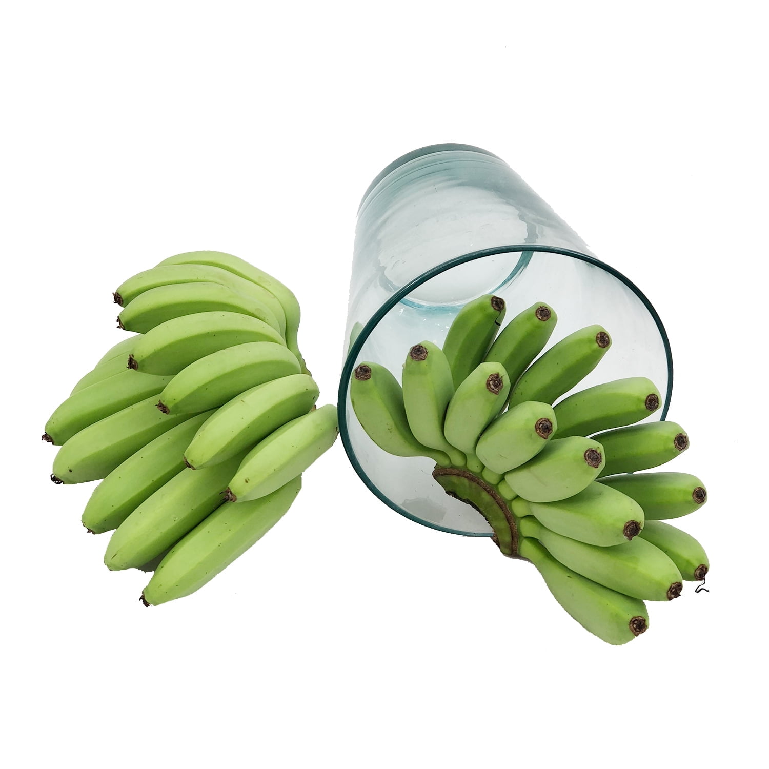 BLOOMINGMORE Green Banana Fingers - Fresh Cut - 9 Pack