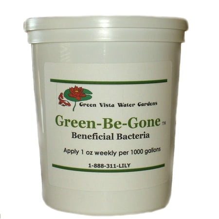 Green-Be-Gone Beneficial Pond Bacteria 8 oz