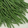 thumbnail image 1 of Green Bean Seeds - Crockett Variety Green Bean Seeds - Treated for Optimal Growth - 100 Seeds, 1 of 5