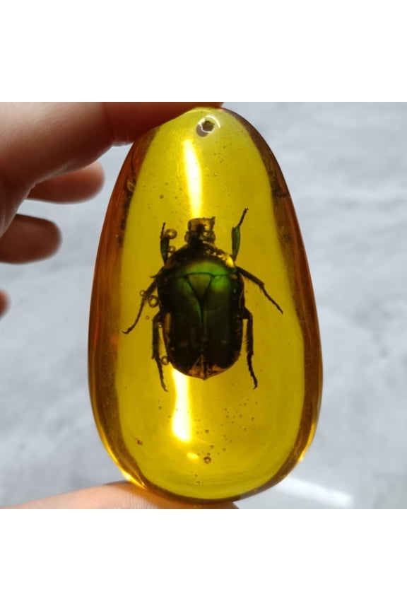 Green Beetle Insect Pendant Resin Specimen Necklace Ornament Nature Inspired Jewelry Accessory for Men Women