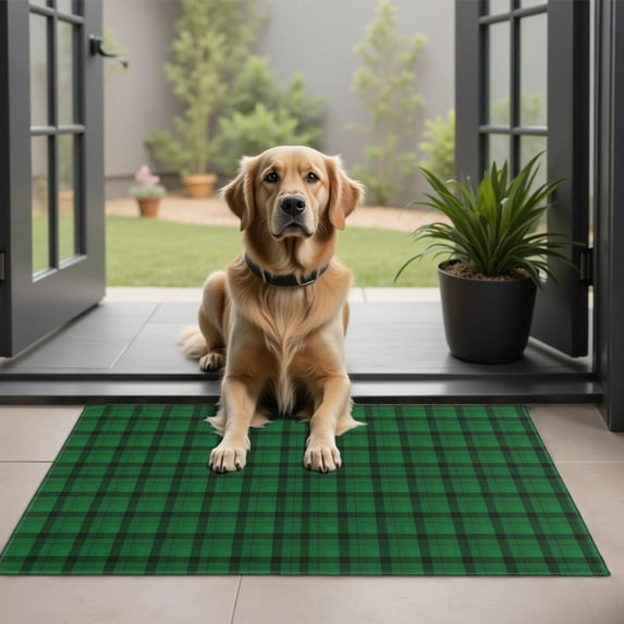 Green Black Checkerboard Checkered Pattern Door Rugs,Washable Non Slip Door Mats Indoor,Decorative Door Mats,Entry Mat Indoor for Entrance,Bedroom,Kitchen,Bathroom,20"x32"