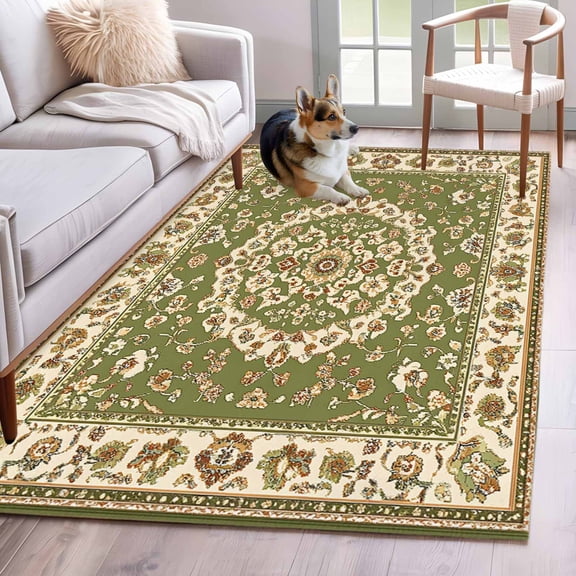 Green Boho Chic Area Rug 3x5 Washable Rug Non Slip Traditional Classic Geometric Rustic Large Area Rug Indoor Floor Carpet for Entryway Bedroom Kitchen Living Room Home Office Dining Room Nursery