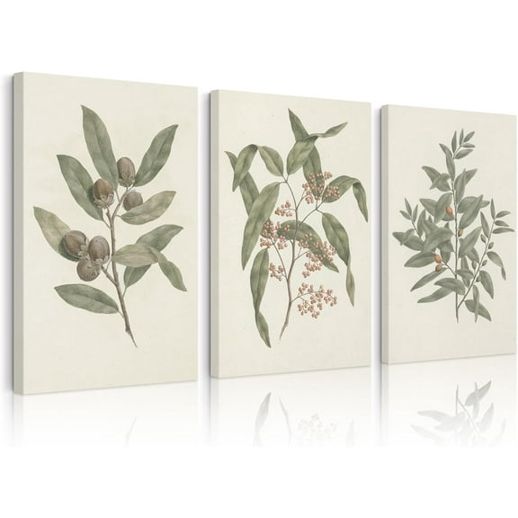Green Botanical Wall Art Sage Plant Canvas Pictures Eucalyptus Wall Decor Watercolor Leaves Prints Minimalist Leaf Poster Natural Artwork Flower Painting for Living Room Bedroom 12x16x3 Inch Unframed