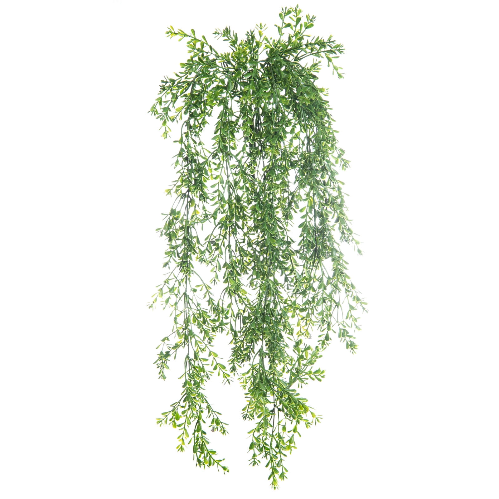 23" Green Boxwood Hanging Basket Arrangement