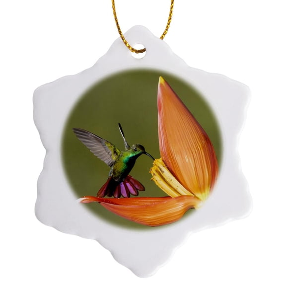 3drose, Green-breasted Mango Hummingbird, Costa Rica, Central America, 3 inch Snowflake Porcelain Ornament