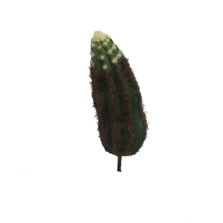 Green Brown Cucumber Cactus 6in Artificial Polysilk Faux Fake Flower Pick  for Craft Home Garden Outdoor Bouquet Arrangement Ceremony Wedding Arch  Floral Wall Aisle Decor (Green Cream Brown, Set of 3) -
