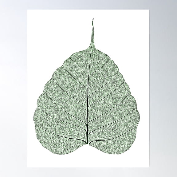 Green Buddhist Bodhi Leaf Poster, 12x18 UNFRAMED