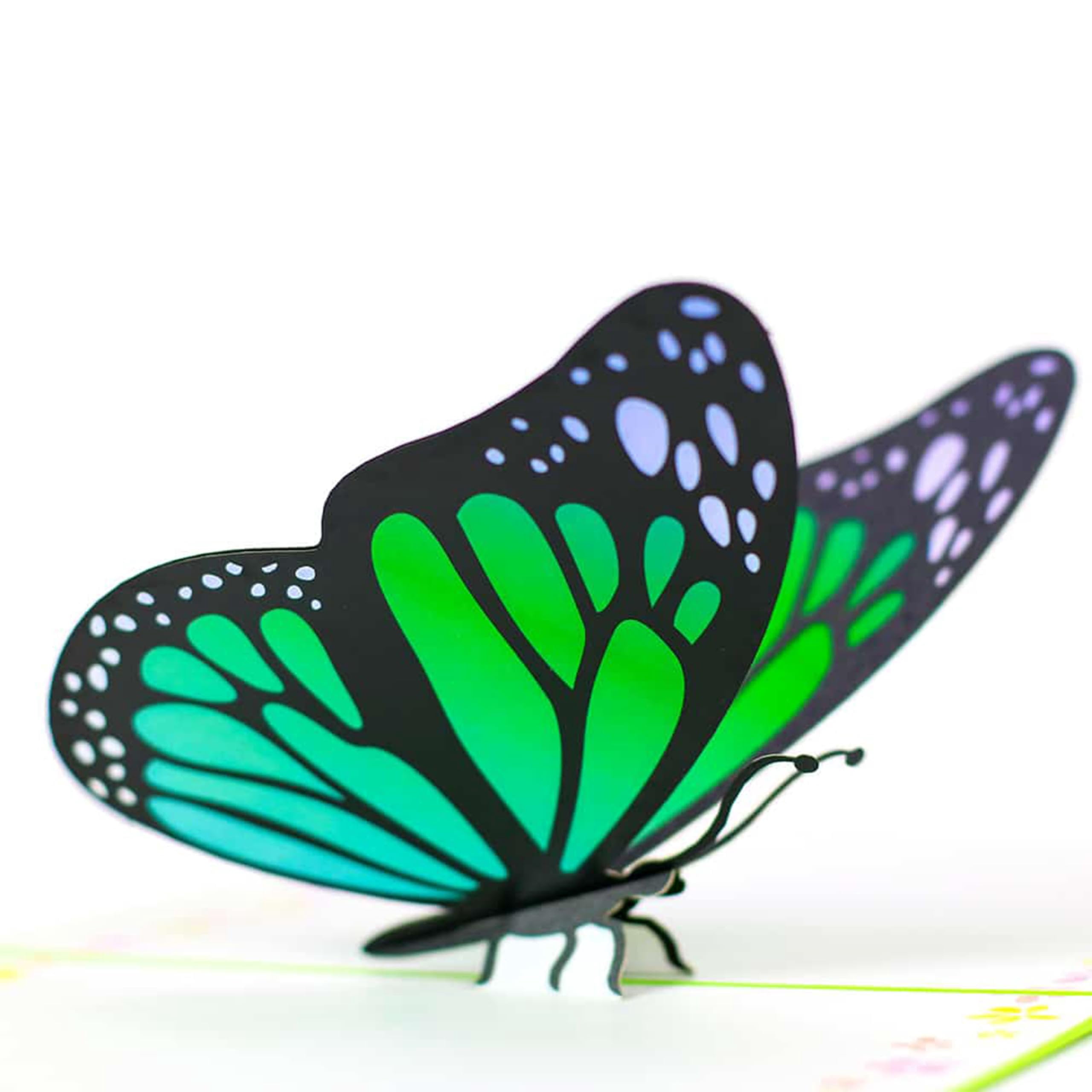Green Butterfly 3D Pop-Up Birthday Card Elegant Pop Up Greeting Card ...
