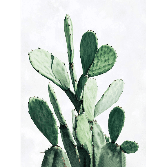Green Cactus Decor Art/Canvas PrintSuitable for Living Room Bedroom Office Dining Room Kitchen Hallway Entryway Study Bathroom and as a Modern Wall Art Decoration with Natural Botanic Theme.