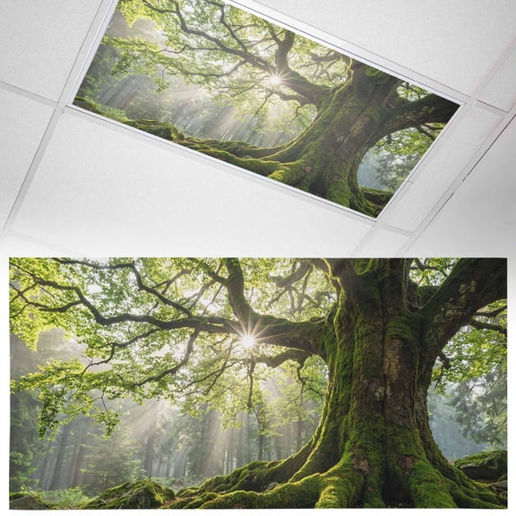 Green Canopy Fluorescent Light Covers Country Rustic Green Forest Tree Leaf Sunshine Landscape Magnetic Light Filters Ceiling Lighting Panel Shade for Classroom Office Home 2 x 4 ft, 1 Pack