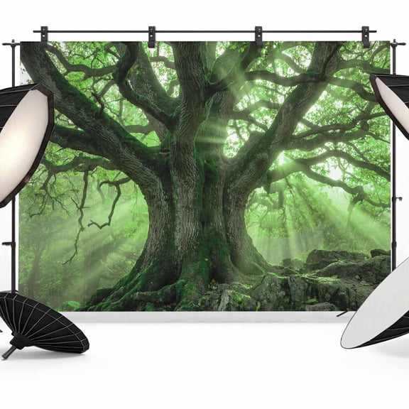 Green Canopy Photography Backdrop 7x5FT, Country Rustic Forest Tree Leaf Sunshine Landscape Photo Backdrops, Background for Photography Studio Photo Studio Background, Back Drop for Photoshoot