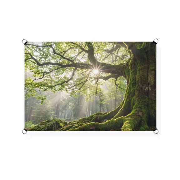 Green Canopy Sun Shade Sail 12'X16' Country Rustic Green Forest Tree Leaf Sunshine Landscape UV Block Outdoor Sail Shades Breathable Waterproof Rectangular Sunshade for Patio Garden Pool Porch