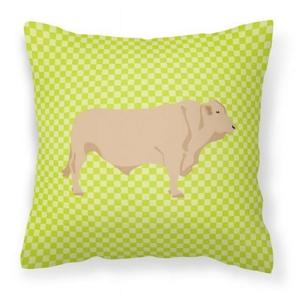 Green Check Themed Fabric Decorative Pillow