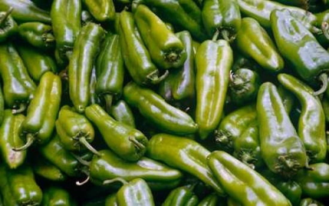 Green Chiles Canvas Art - Cyril Blue (12 x 18)