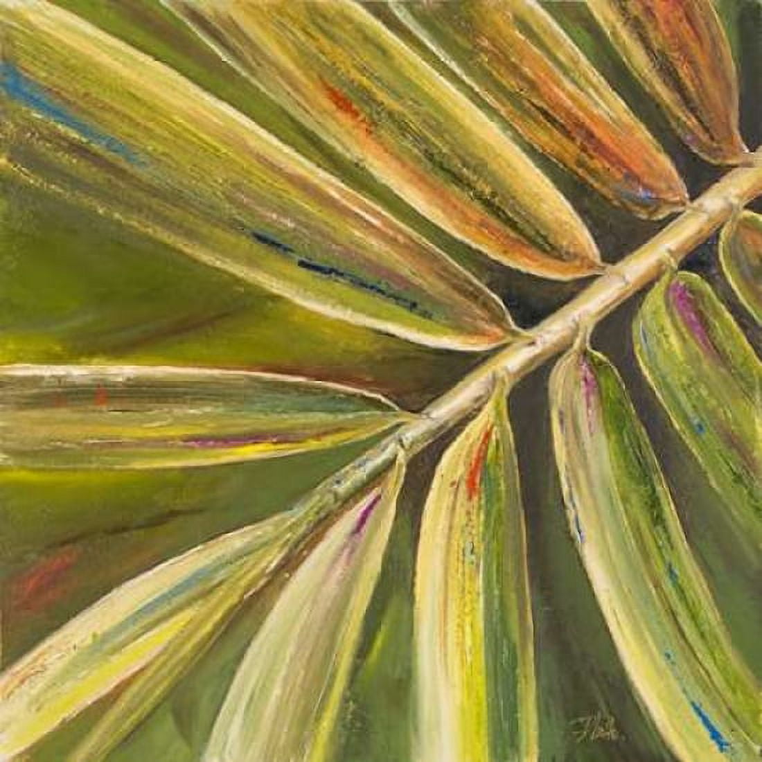 Green Close Up II Canvas Art - Patricia Pinto (24 x 24)