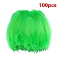 thumbnail image 1 of Green Craft Feathers Bulk,Green Feathers for Crafts,Feathers Bulk - 100pcs 3-5inch Natural Feathers for Wedding Home,Dream Catcher Supplies,DIY Crafts and Halloween Holiday Party(Black), 1 of 2