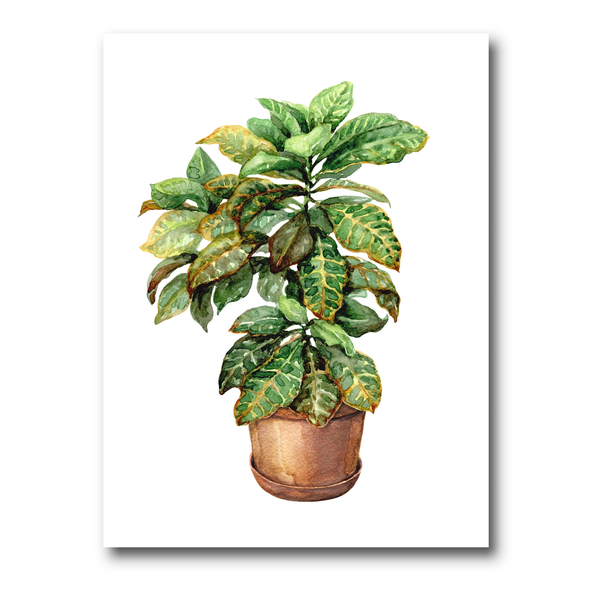 Green Croton In Clay Flowerpot 30 in x 40 in Painting Canvas Art Print, by Designart