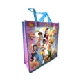 thumbnail image 1 of Green Disney Fairies Tinker Bell and Rosetta  Gift Bag-  14in Tinkerbell Gift Bag, 1 of 3