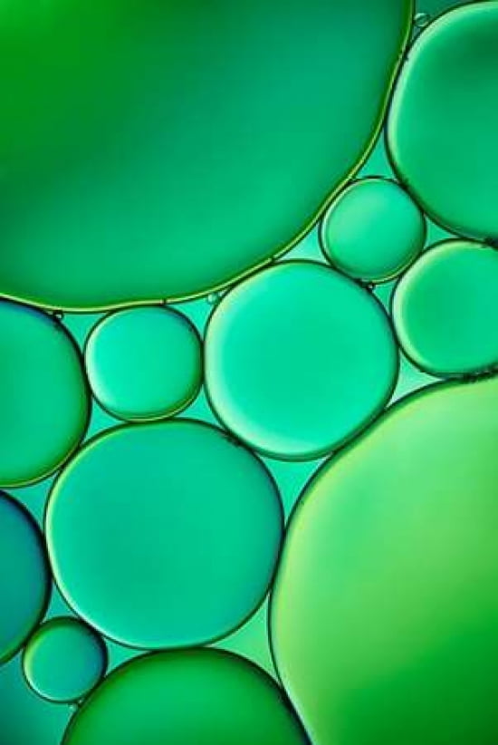 Green Drops Canvas Art - Cora Niele (24 x 36)