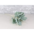 thumbnail image 1 of Green Dusty Miller Spray, 1 of 7