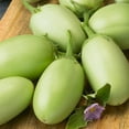thumbnail image 1 of Green Envy F1 Hybrid Eggplant Seeds - 2 g Packet ~460 Seeds - Non-GMO, F1 Hybrid - Vegetable Garden - Solanum melongena, 1 of 1