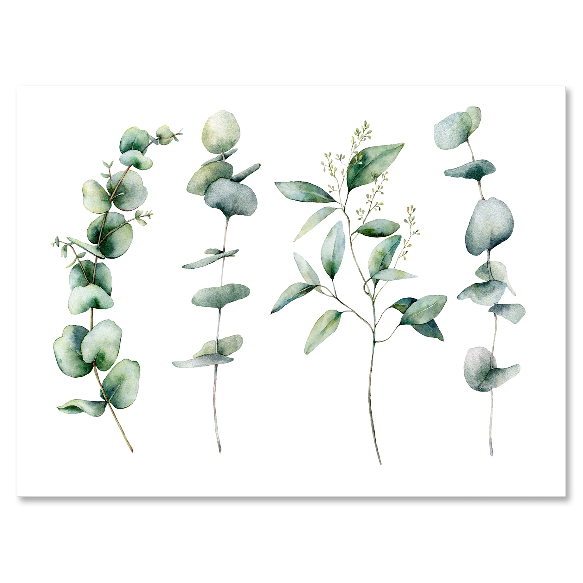 Green Eucalyptus Plant Branches I 12 in x 8 in Painting Canvas Art Print, by Designart