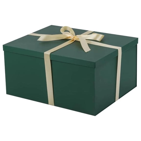 Green Extra Large 16.5138 Inches 1Pcs box with lids boxes for