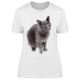 thumbnail image 1 of Green-Eyed Maltese Cat Awaiting T-Shirt Women -Image by Shutterstock, Female 3X-Large, 1 of 2