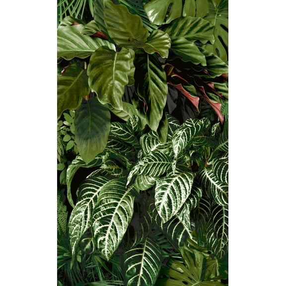 Green Fern Foliage Tropical Wallpaper
