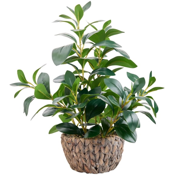 Green Ficus Plant 18.8" H Artificial Potted Decor