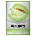 thumbnail image 1 of Green Flesh Honeydew Melon Seeds, 1 of 7