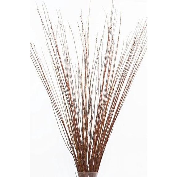 Green Floral Craft | 90-100 Stem Dried Asian Willow Decorative Branches 4-5 Feet Tall Floor Vase Filler (Honey)