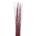 thumbnail image 1 of Green Floral Craft | 90-100 Stem Dried Asian Willow Decorative Branches 4-5 Feet Tall Floor Vase Filler (Wine Red), 1 of 5