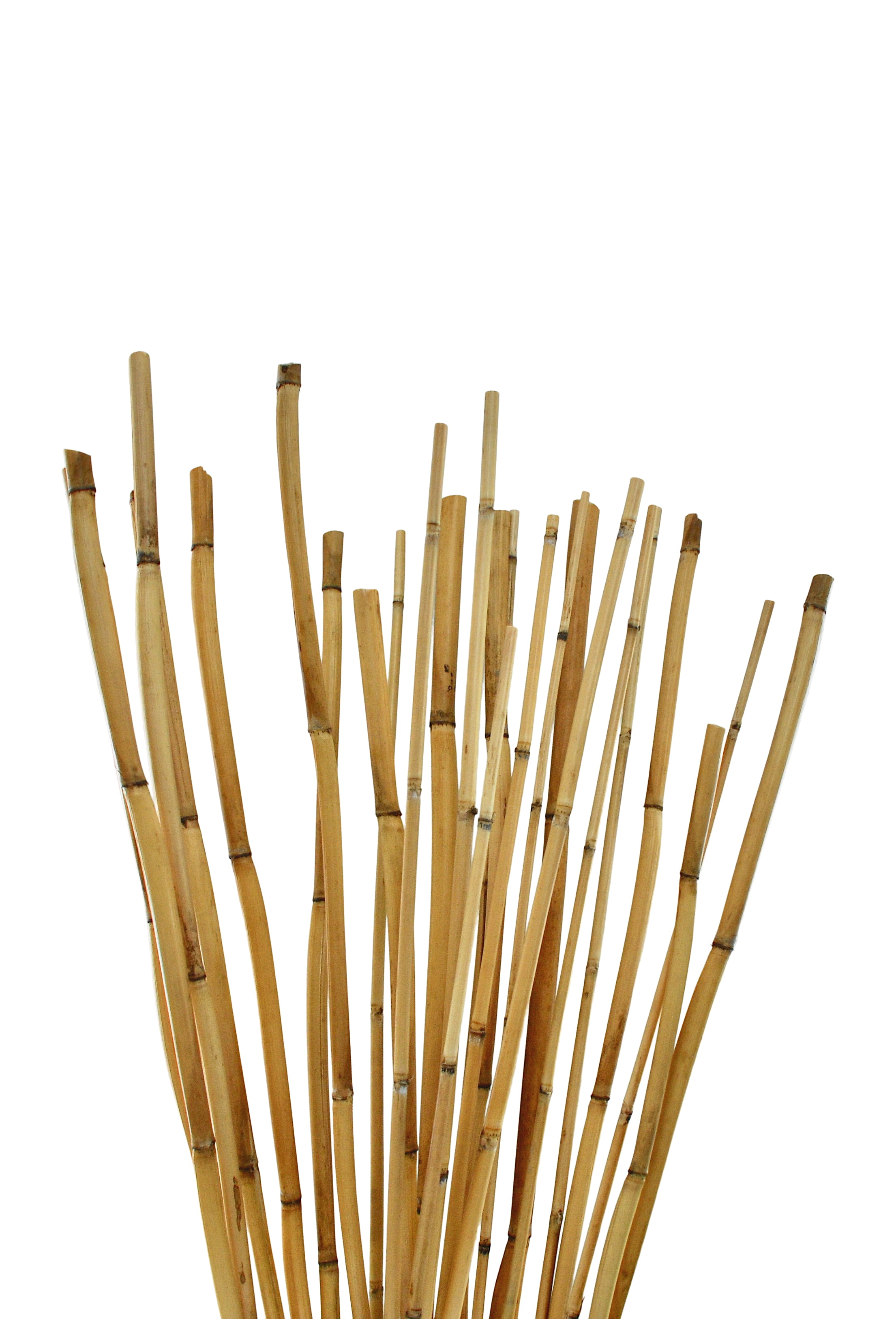 Green Floral Crafts - Natural River Cane 3.5 Ft, Natural, Pack of 15