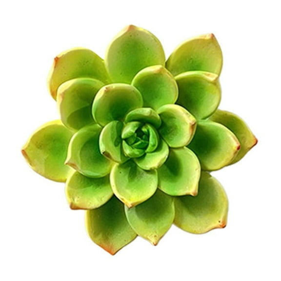 Green Flower Bouquet Magnetic Fridge Stickers Refrigerator Magnets Resin Flower Adhesive Decorations Realistic Flower Magnets Fridge Accessory Kitchen Decoration Plastic Material Green Col