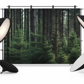 Green Forest Backdrop for Photography,Fabric Photo Background Backdrop,Mysterious Primitive Forest Pine Tree Photo Booth Background for Portrait Photoshoot Video Wedding Decoration Banner 8x6ft