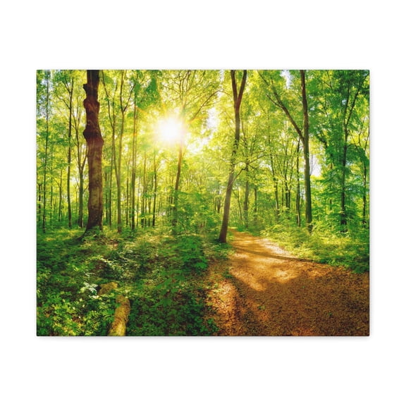 Green Forest Sunlight Nature Wilderness Photography Canvas Wall Art for Home Decor Ready-to-Hang