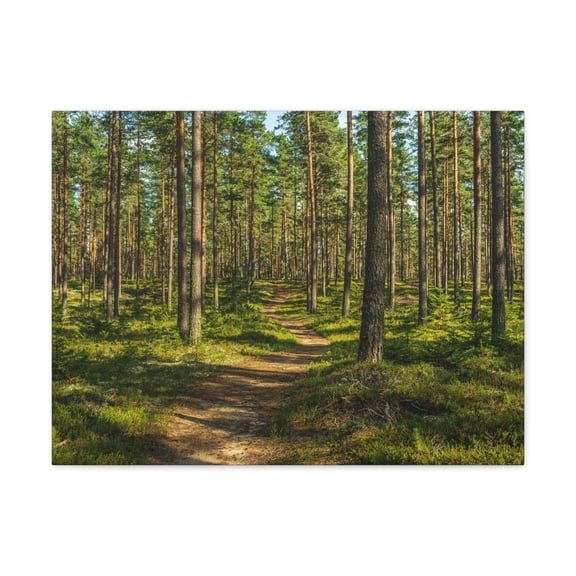 Green Forest Tree Path Nature Wilderness Photography Canvas Wall Art for Home Decor Ready-to-Hang