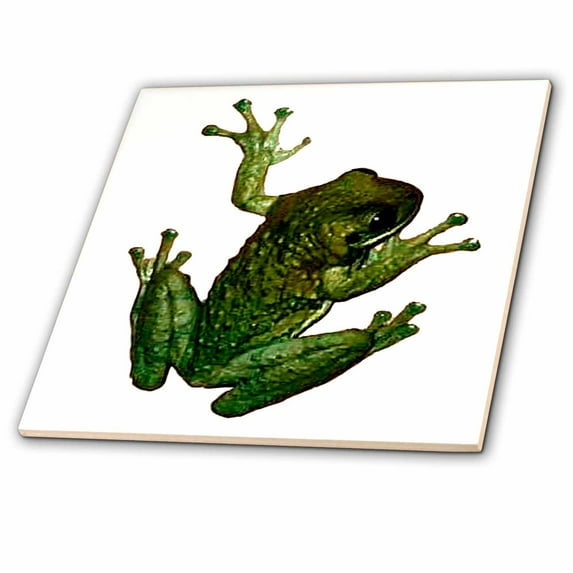 3dRose, Green Frog, 4 Inch Ceramic Tile